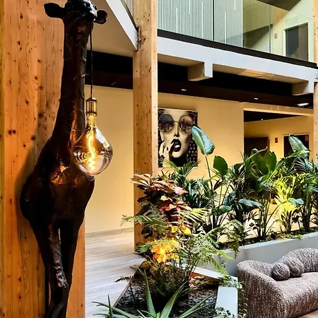 Les De Socrate Szálloda *